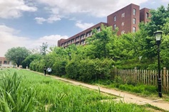 学科建设